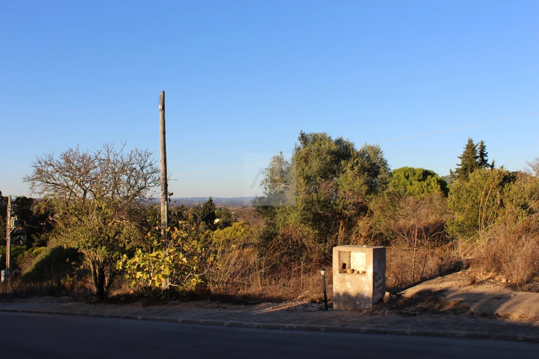 Terreno para Venda em Lagos (São Sebastião e Santa Maria) Foto 8