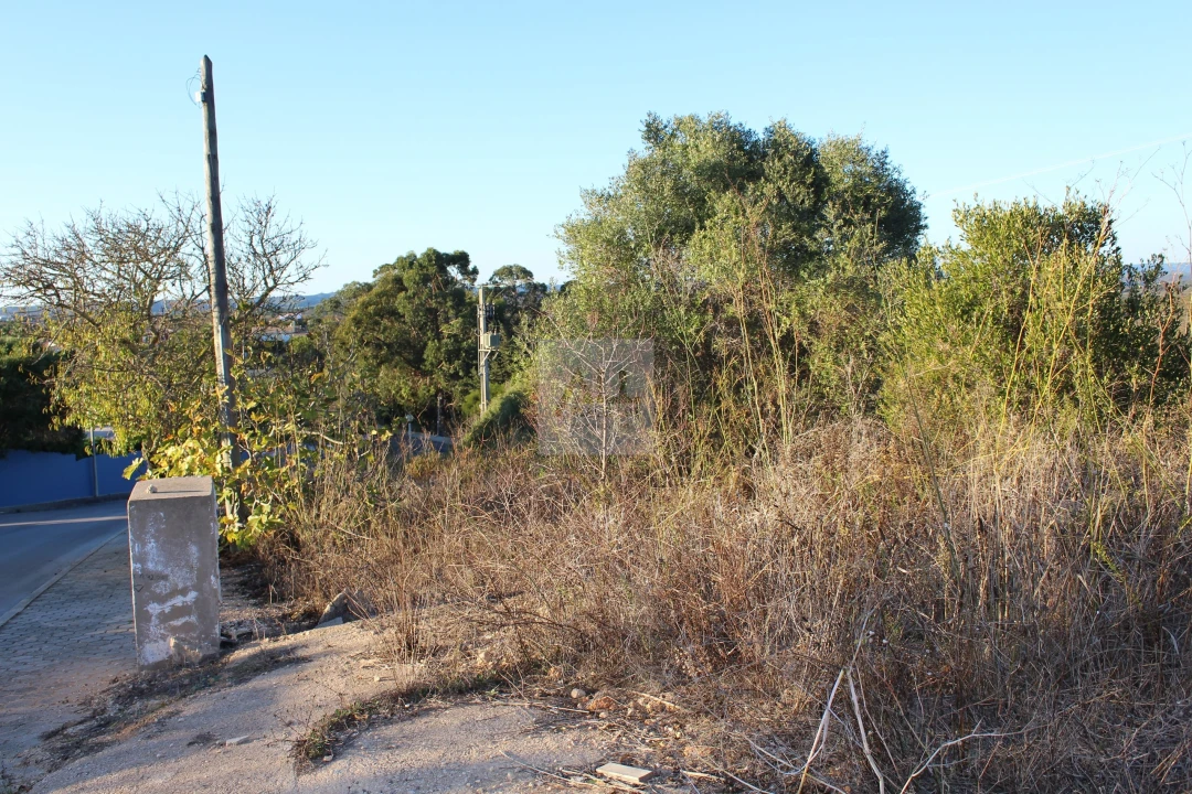 Terreno para Venda em Lagos (São Sebastião e Santa Maria) Foto 7