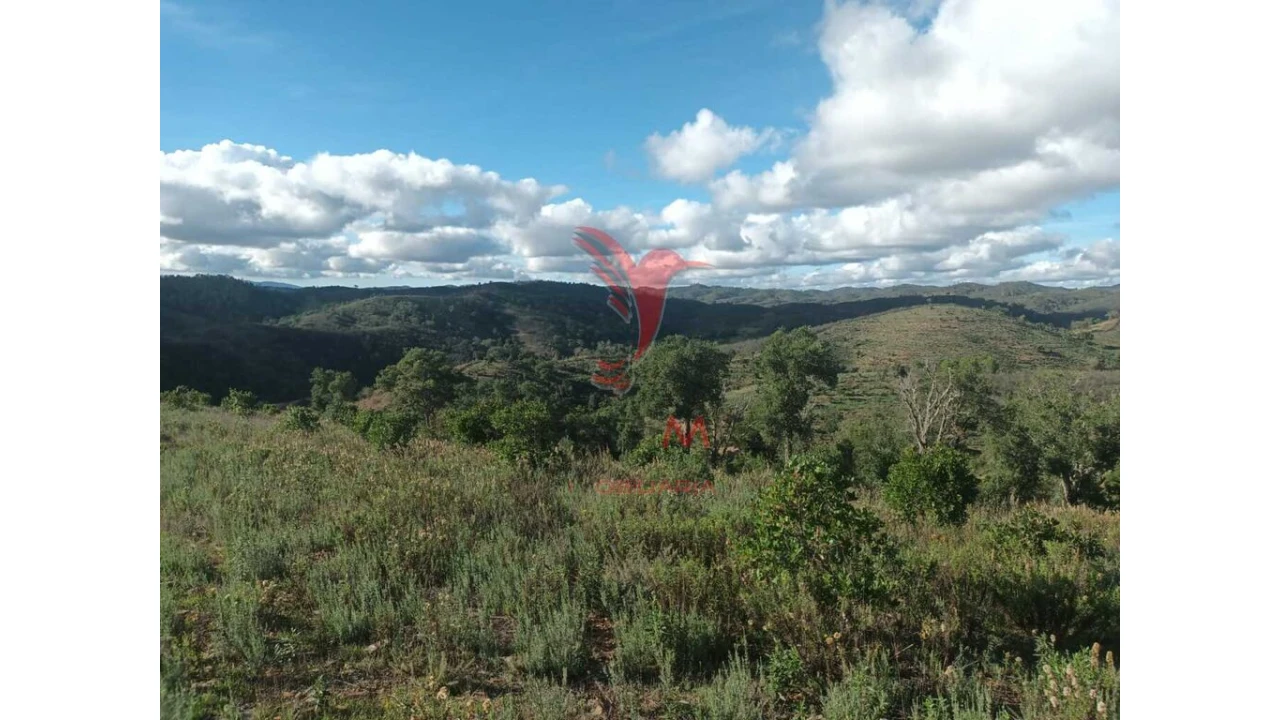 Terreno para Venda em São Marcos da Serra Foto 16