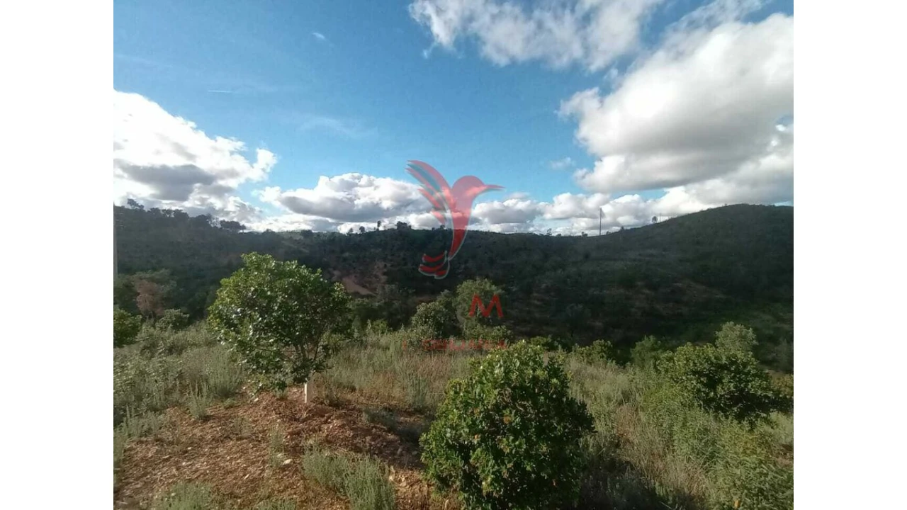 Terreno para Venda em São Marcos da Serra Foto 10