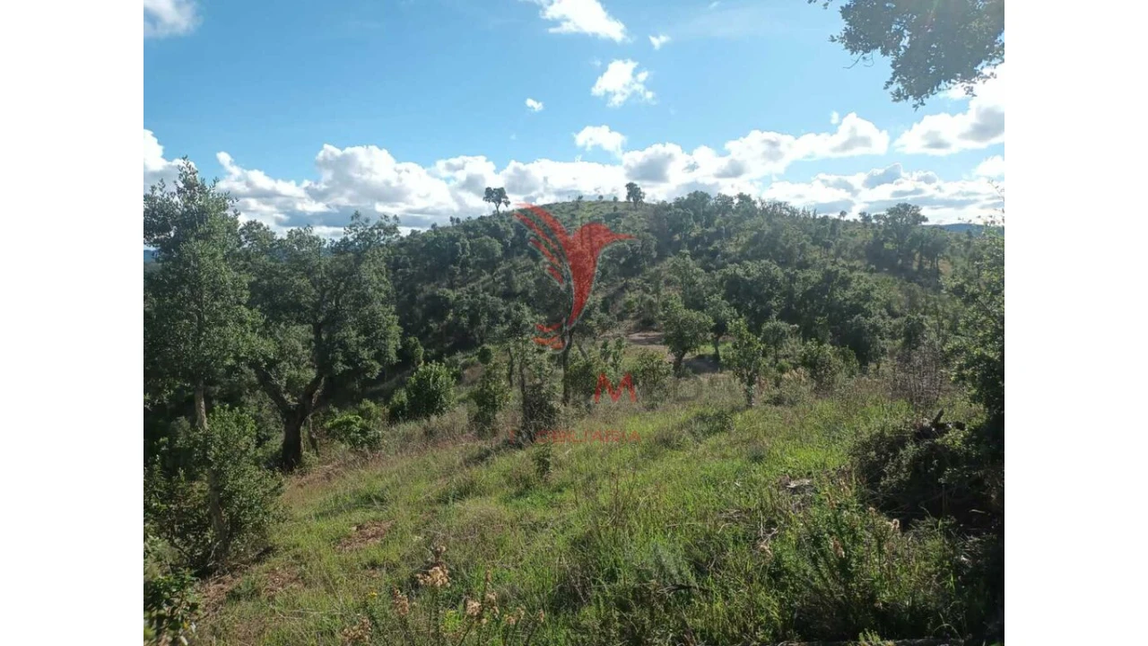Terreno para Venda em São Marcos da Serra Foto 20