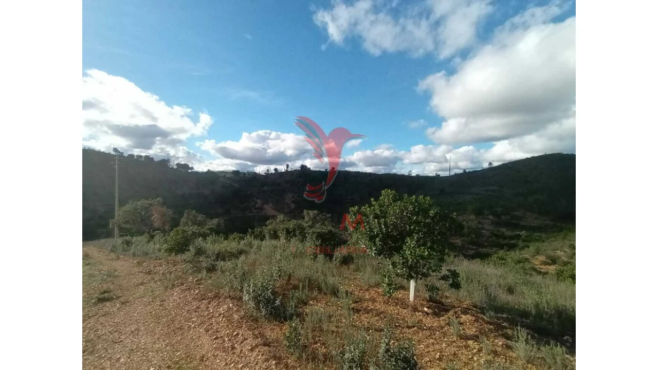Terreno para Venda em São Marcos da Serra Foto 11