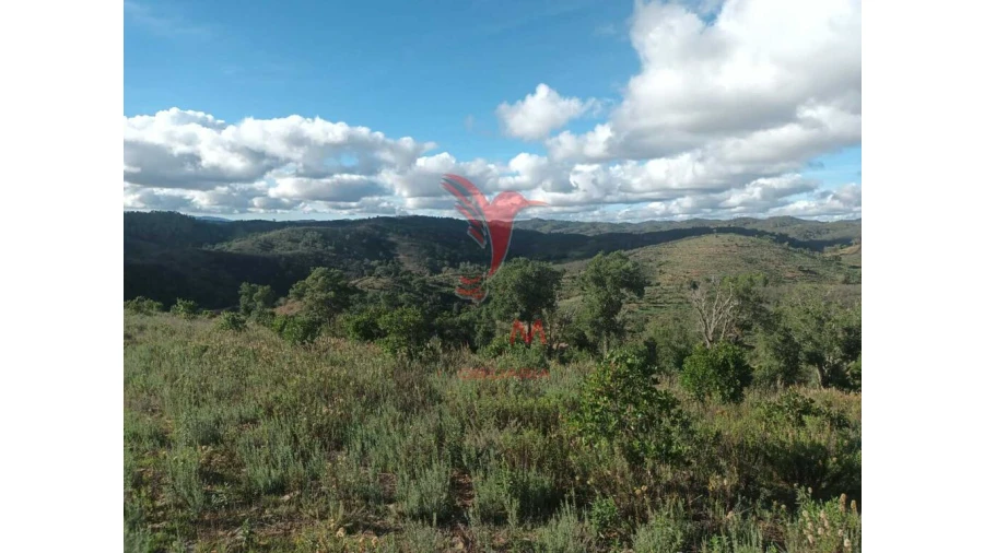 Terreno para Venda em São Marcos da Serra Foto 16