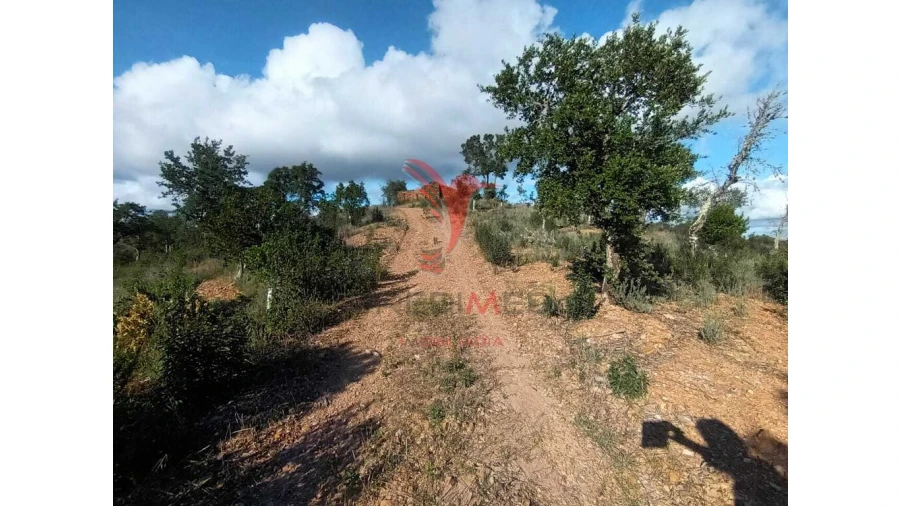 Terreno para Venda em São Marcos da Serra Foto 5