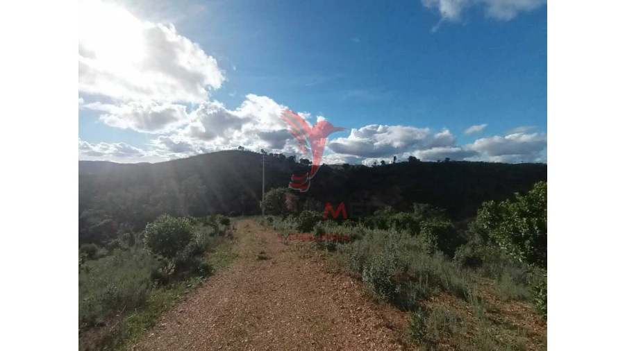 Terreno para Venda em São Marcos da Serra Foto 9
