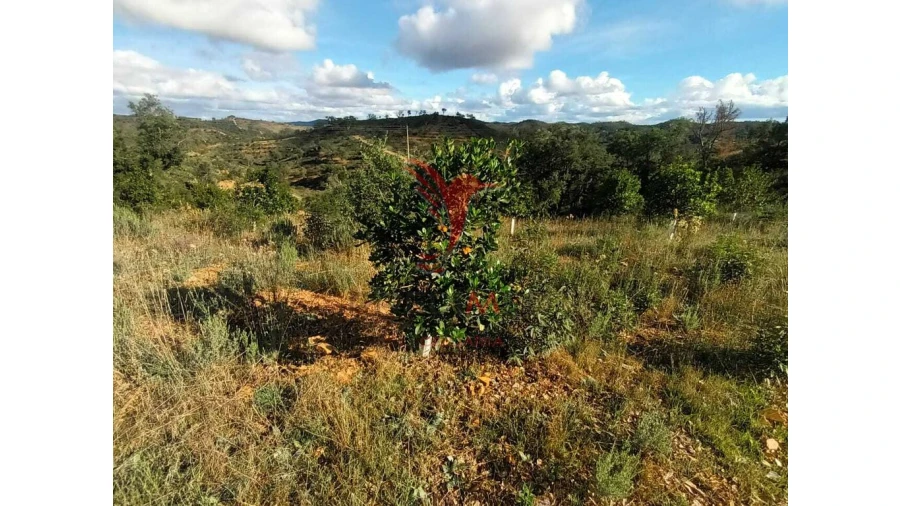 Terreno para Venda em São Marcos da Serra Foto 18