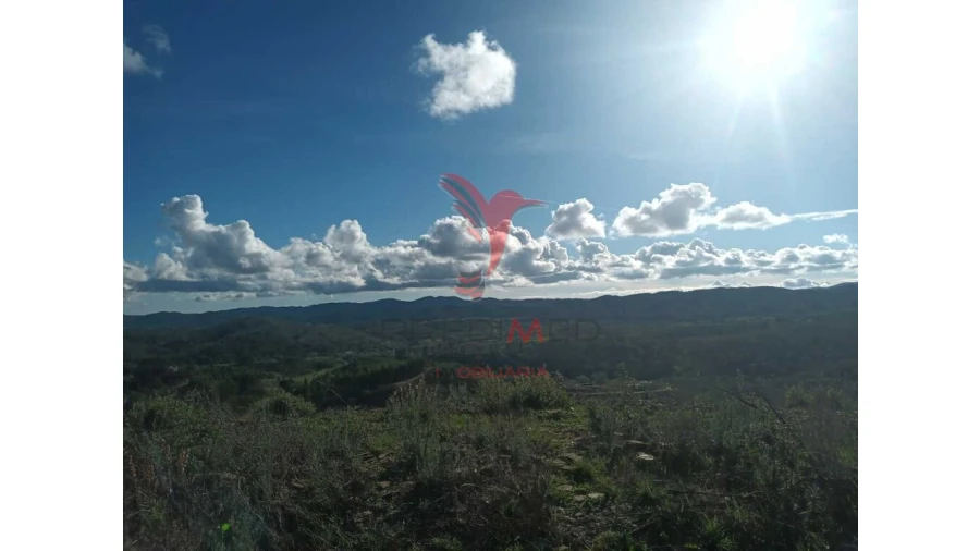 Terreno para Venda em São Marcos da Serra Foto 15