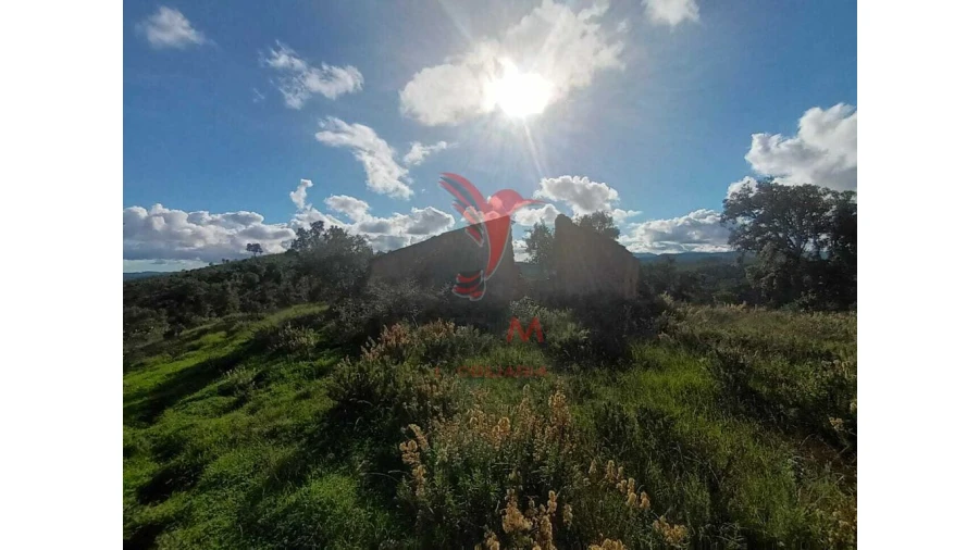 Terreno para Venda em São Marcos da Serra Foto 3