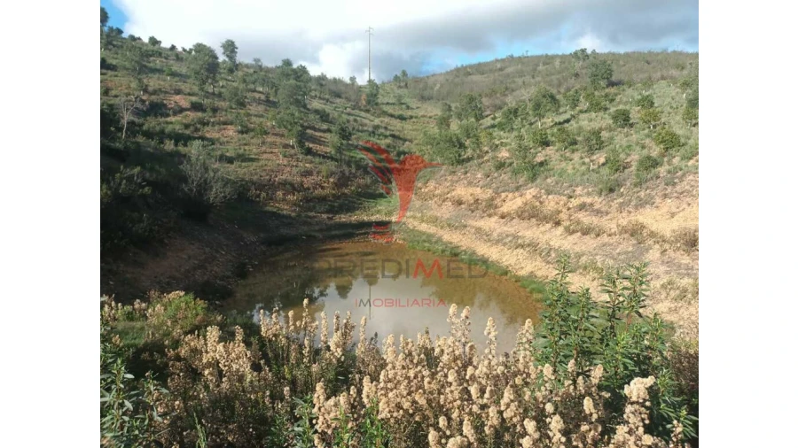 Terreno para Venda em São Marcos da Serra Foto 6