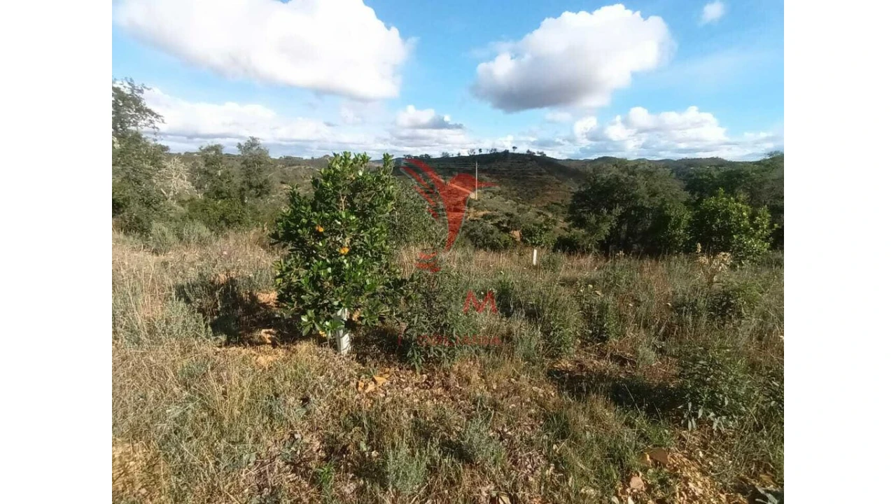 Terreno para Venda em São Marcos da Serra Foto 19