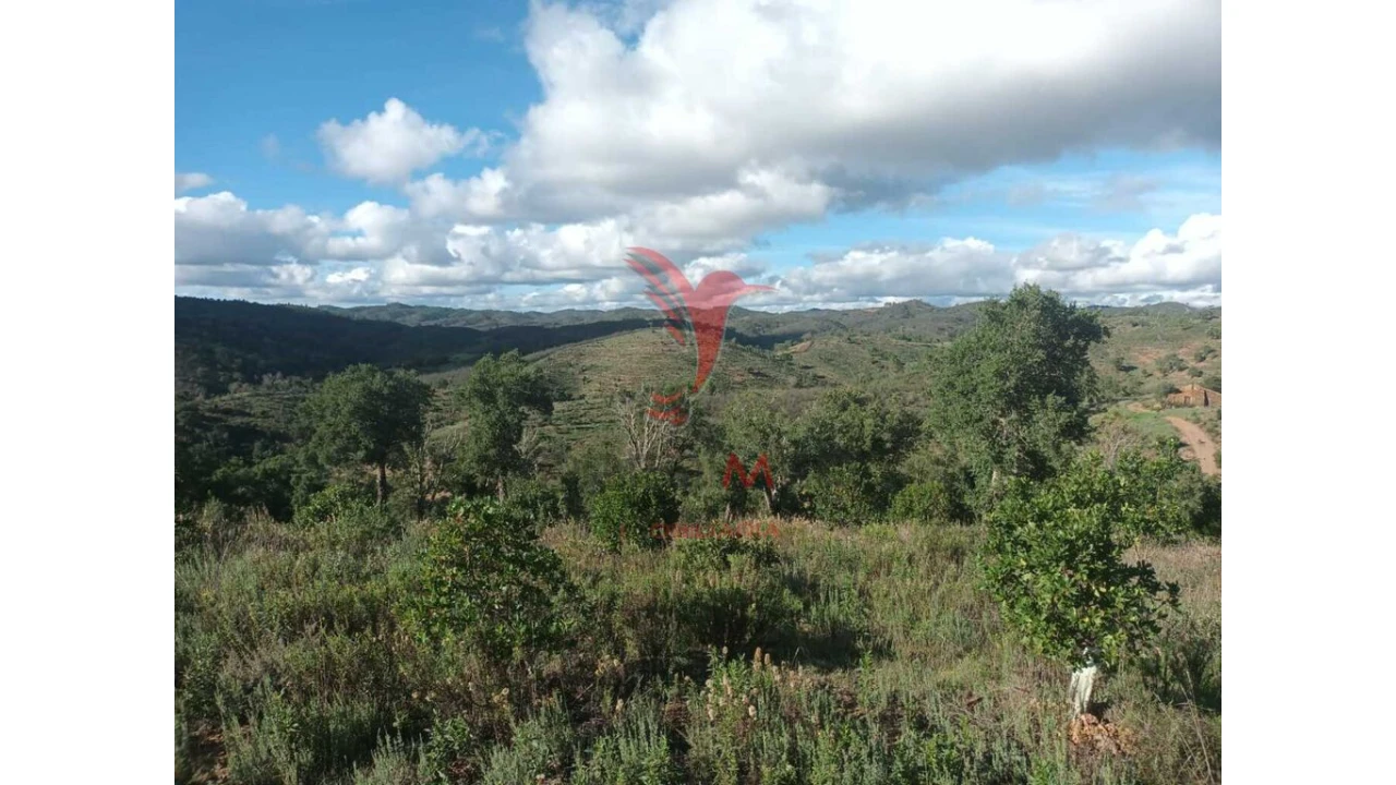 Terreno para Venda em São Marcos da Serra Foto 12
