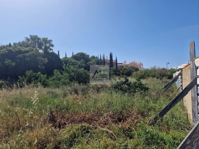 Terreno para Venda em Lagos (São Sebastião e Santa Maria) Foto 3