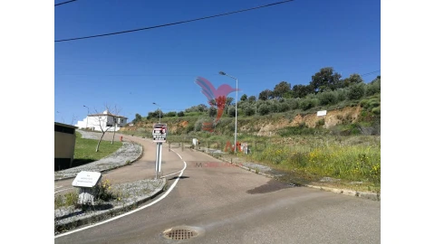 Terreno para Venda em Ribeira de Nisa e Carreiras