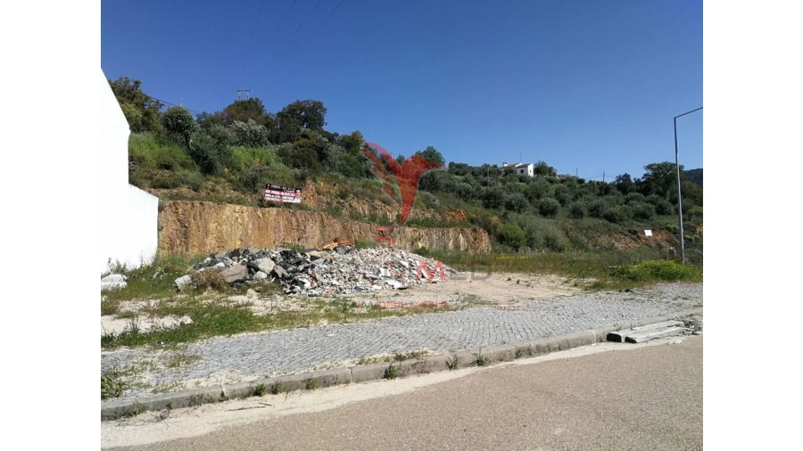 Terreno para Venda em Ribeira de Nisa e Carreiras Foto 1