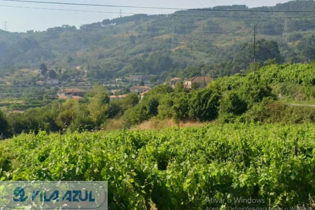Quinta para Venda em Gove Foto 3