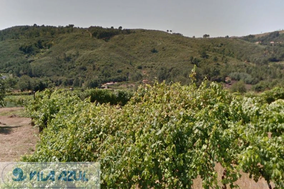 Quinta para Venda em Gove Foto 6