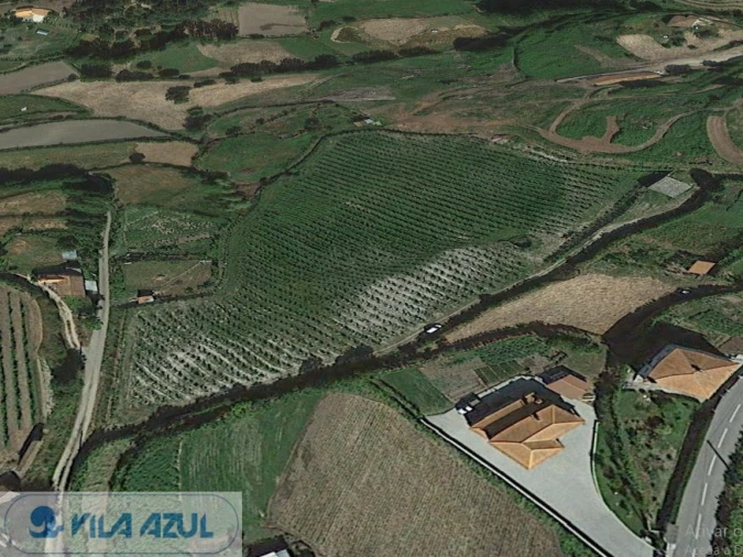 Quinta para Venda em Gove Foto 8