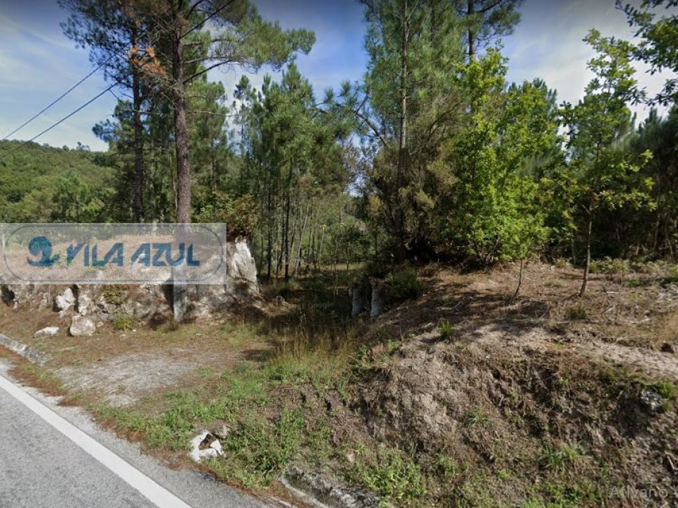 Terreno Misto para Venda em Campelo e Ovil Foto 2