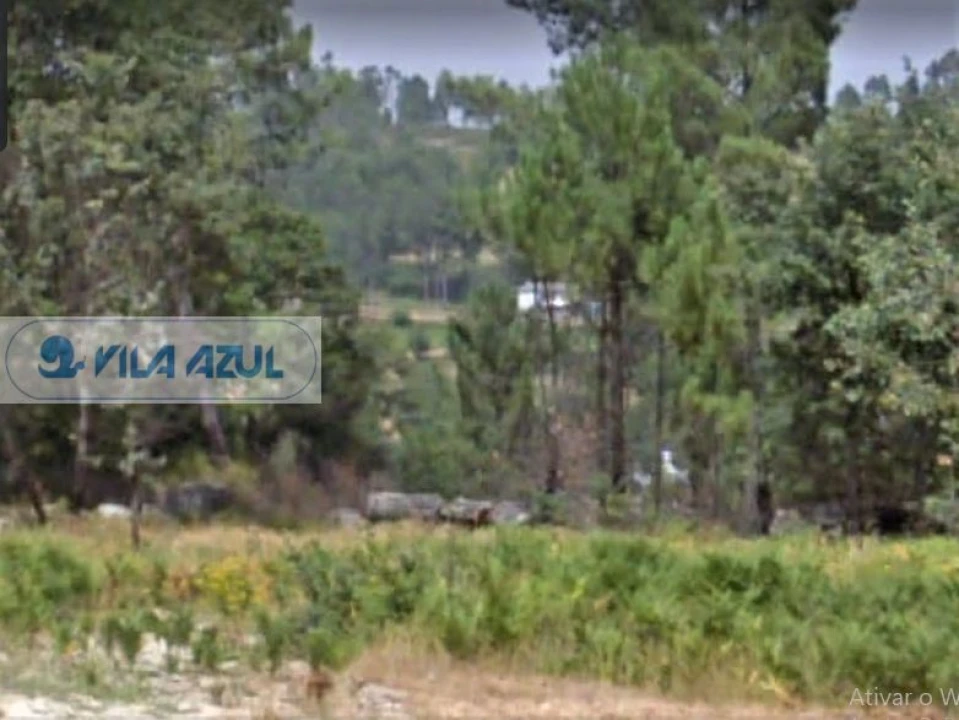 Terreno Agricola ou Rústico para Venda em Gestaço Foto 4