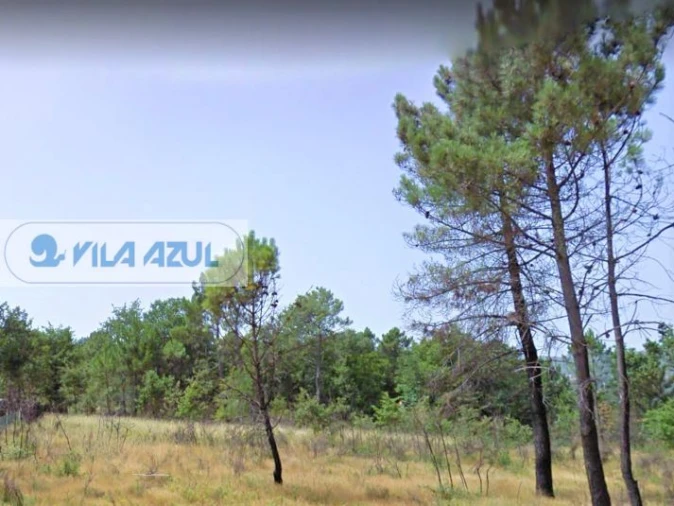 Terreno Agricola ou Rústico para Venda em Gestaço Foto 3