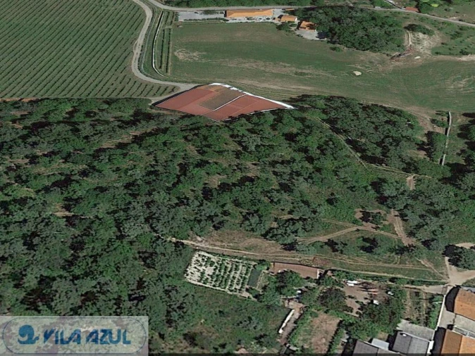 Terreno Agricola ou Rústico para Venda em Gestaço Foto 6