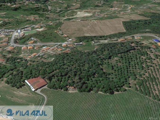 Terreno Agricola ou Rústico para Venda em Gestaço Foto 7
