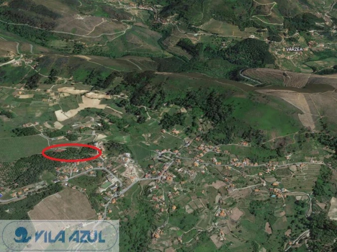 Terreno Agricola ou Rústico para Venda em Gestaço Foto 8