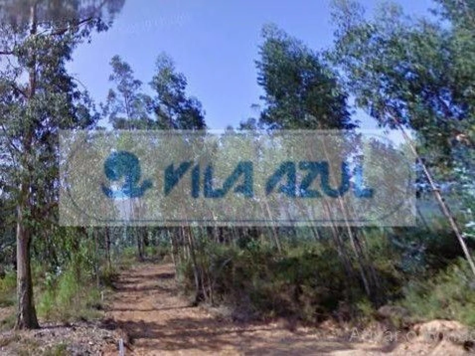 Terreno Agricola ou Rústico para Venda em Melres e Medas Foto 7