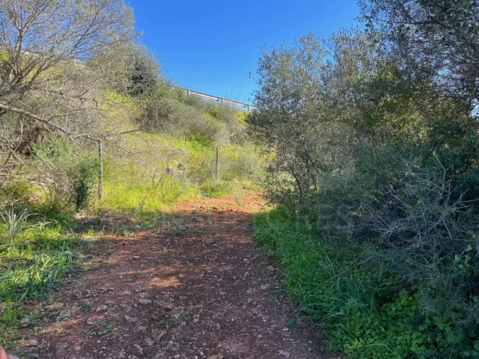 Terreno para Venda em Algoz e Tunes Foto 3