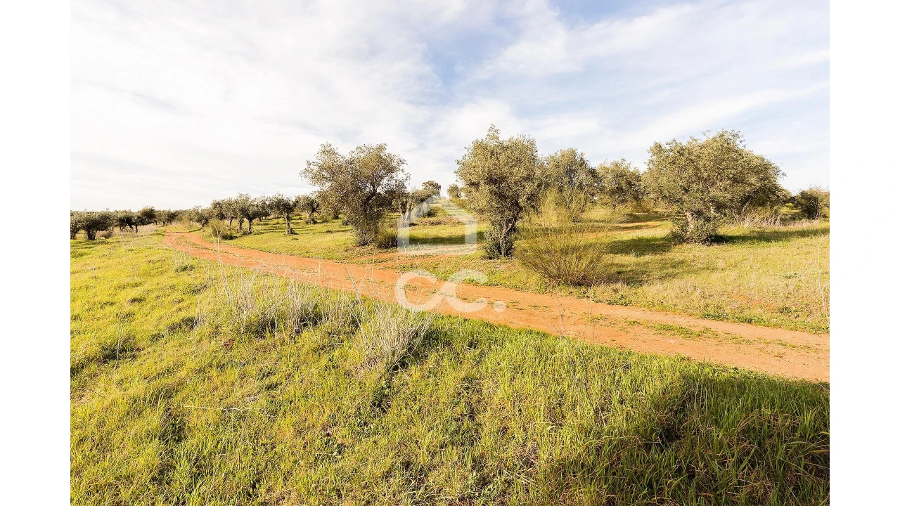 Terreno para Venda em Nossa Senhora da Conceição, São Brás dos Matos, Juromenha Foto 32