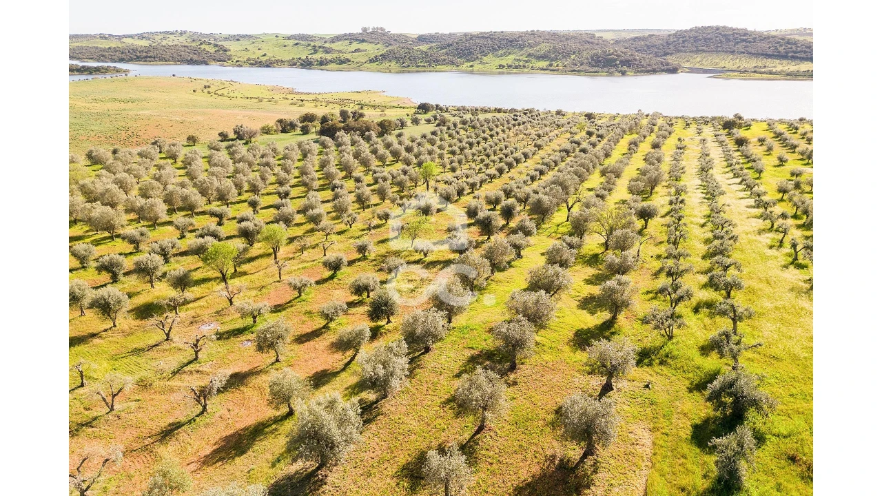 Terreno para Venda em Nossa Senhora da Conceição, São Brás dos Matos, Juromenha Foto 13