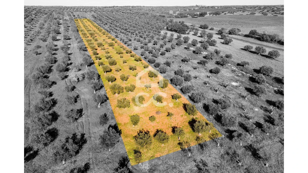 Terreno para Venda em Nossa Senhora da Conceição, São Brás dos Matos, Juromenha Foto 5