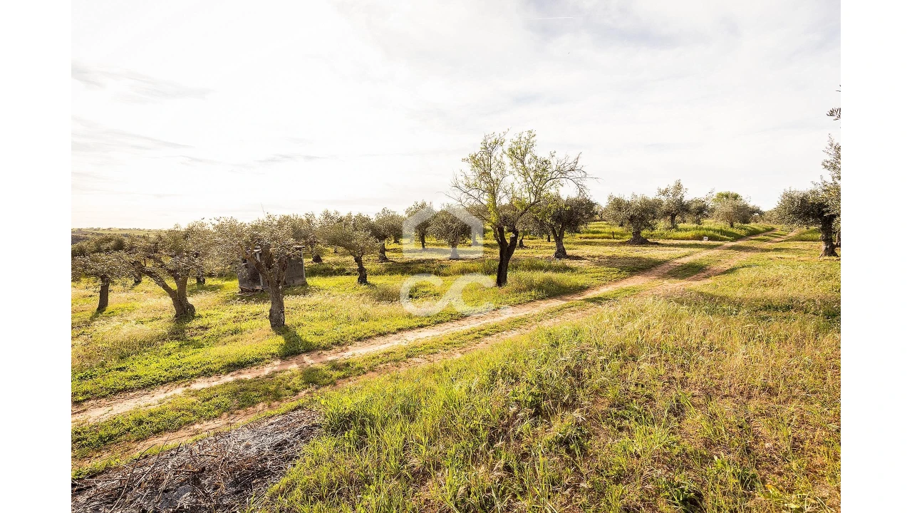 Terreno para Venda em Nossa Senhora da Conceição, São Brás dos Matos, Juromenha Foto 14
