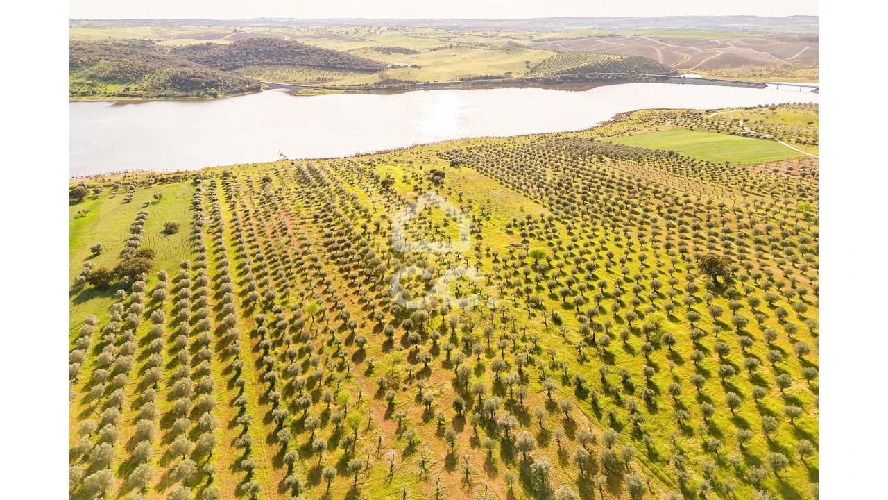 Terreno para Venda em Nossa Senhora da Conceição, São Brás dos Matos, Juromenha Foto 3
