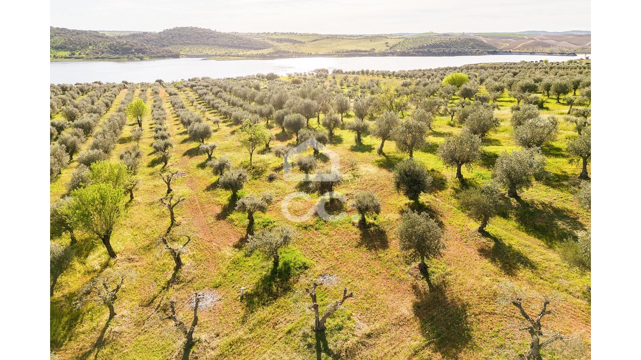 Terreno para Venda em Nossa Senhora da Conceição, São Brás dos Matos, Juromenha Foto 12