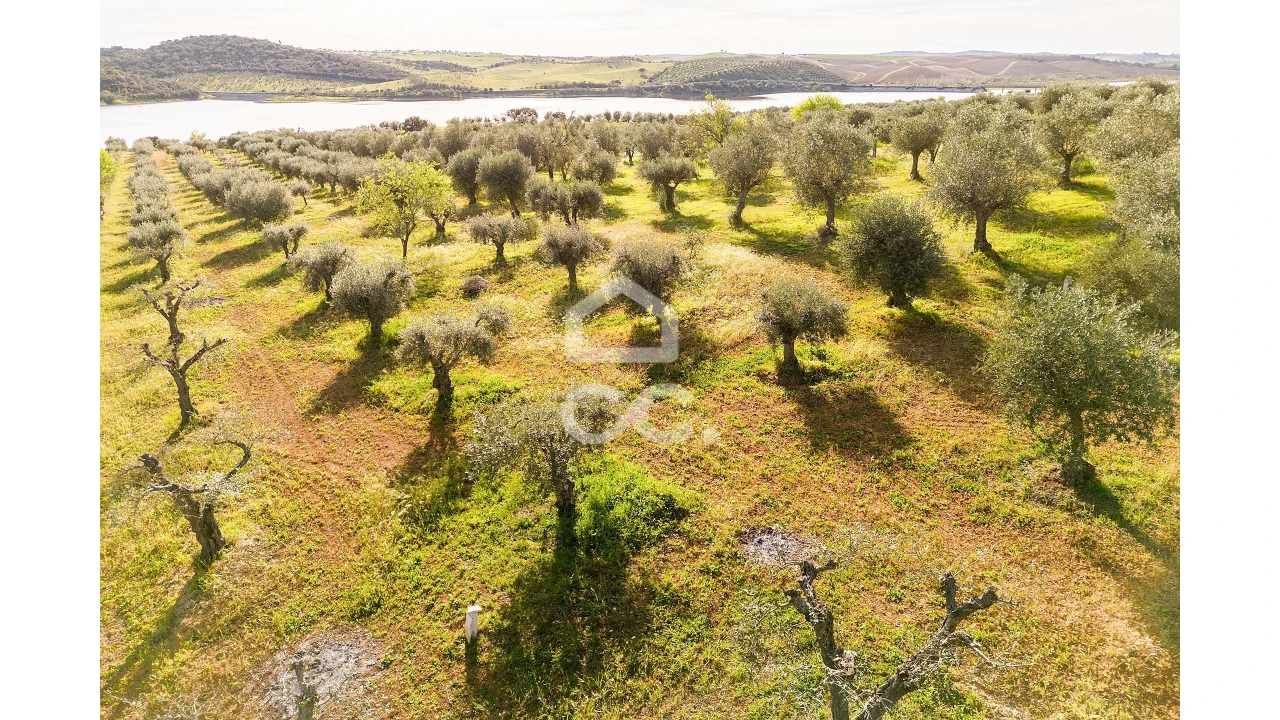 Terreno para Venda em Nossa Senhora da Conceição, São Brás dos Matos, Juromenha Foto 18