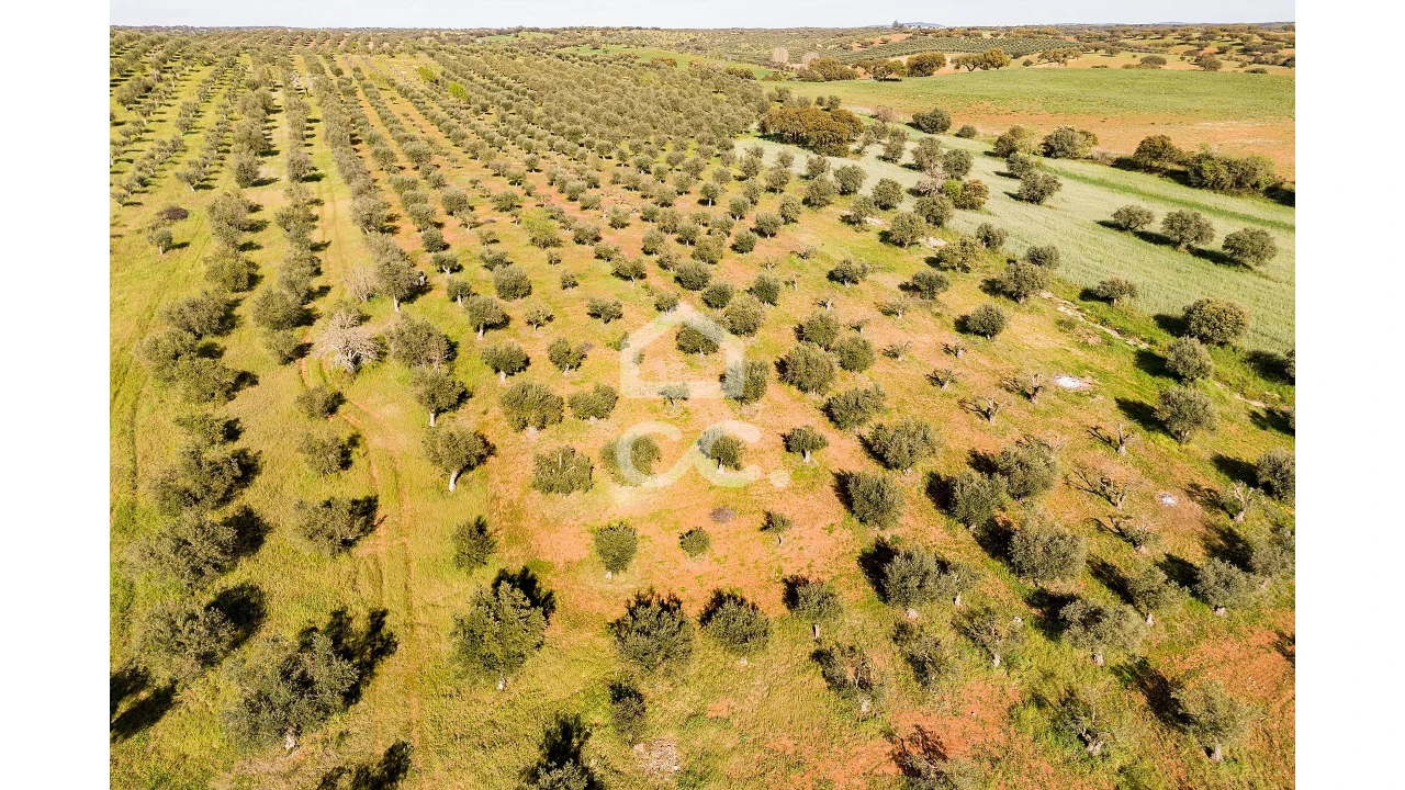 Terreno para Venda em Nossa Senhora da Conceição, São Brás dos Matos, Juromenha Foto 23
