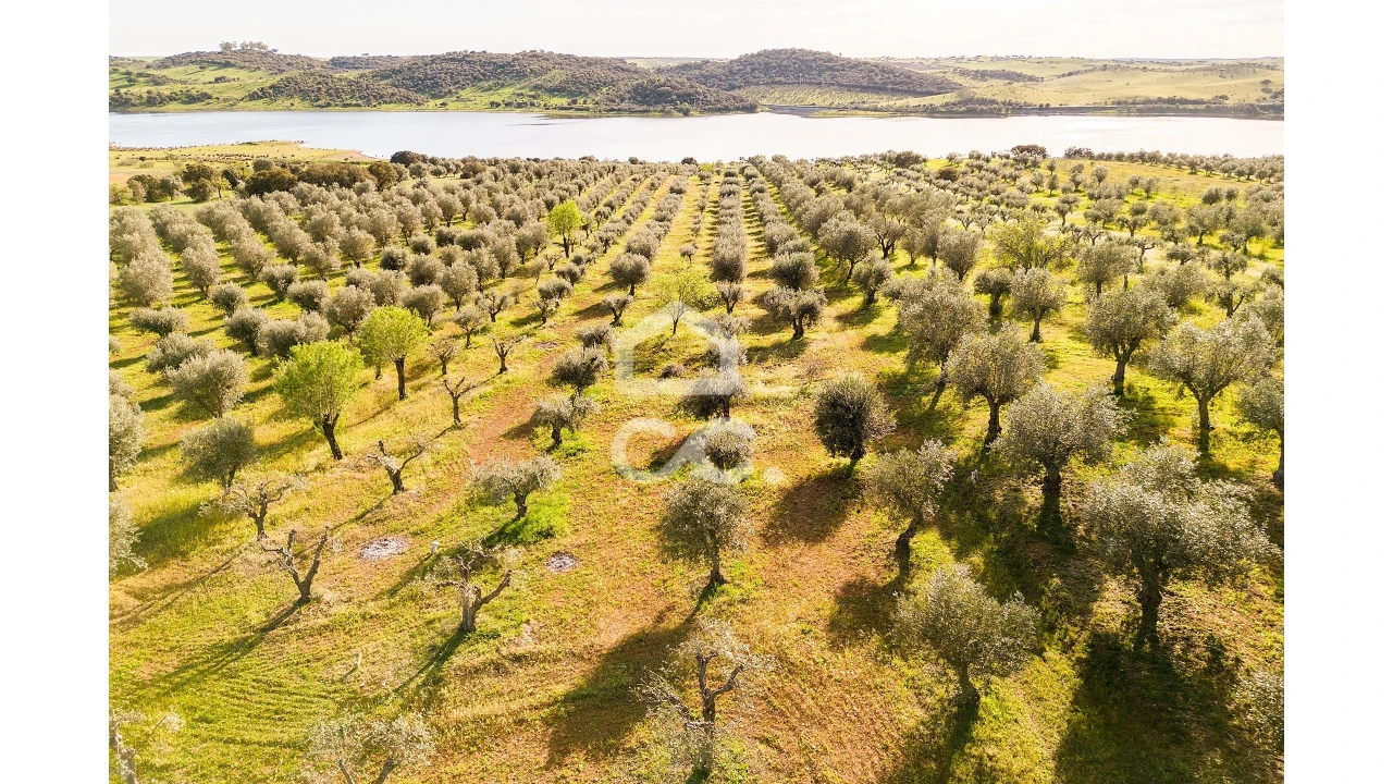 Terreno para Venda em Nossa Senhora da Conceição, São Brás dos Matos, Juromenha Foto 1