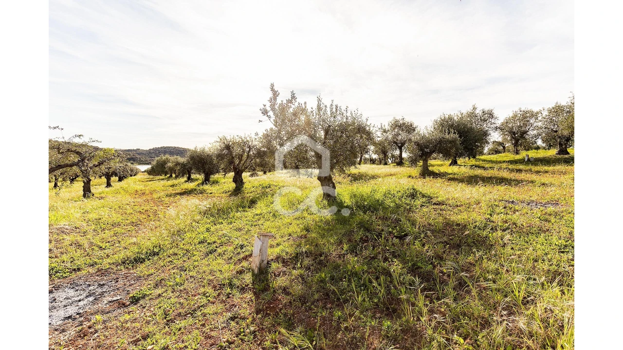 Terreno para Venda em Nossa Senhora da Conceição, São Brás dos Matos, Juromenha Foto 17