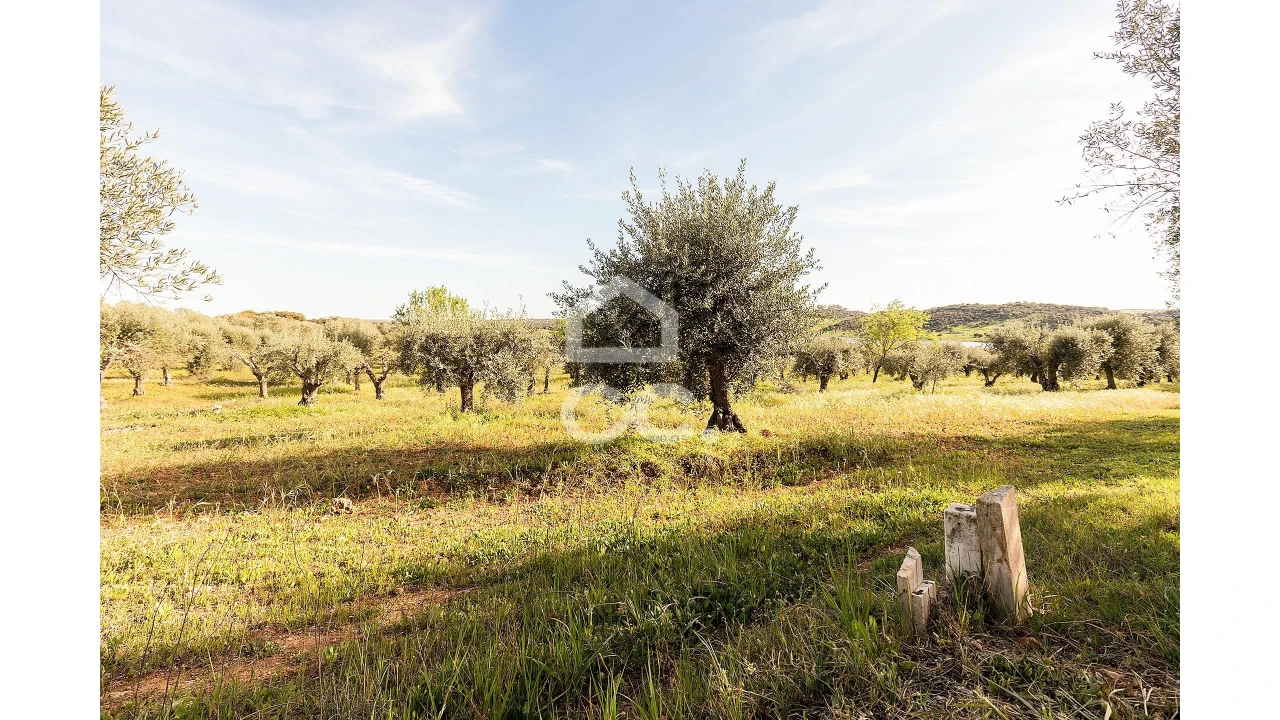 Terreno para Venda em Nossa Senhora da Conceição, São Brás dos Matos, Juromenha Foto 16
