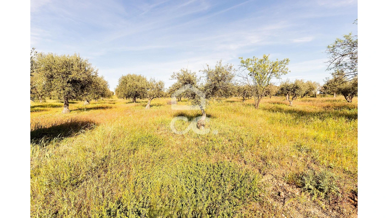 Terreno para Venda em Nossa Senhora da Conceição, São Brás dos Matos, Juromenha Foto 26