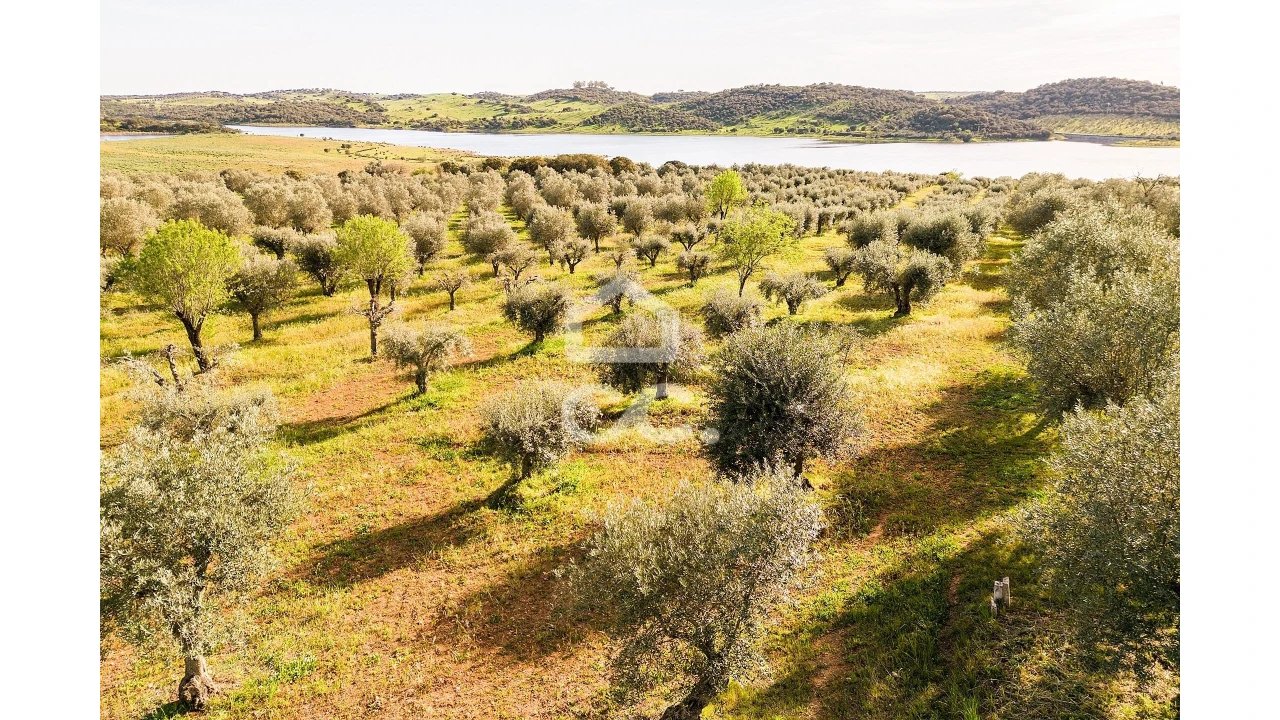 Terreno para Venda em Nossa Senhora da Conceição, São Brás dos Matos, Juromenha Foto 19