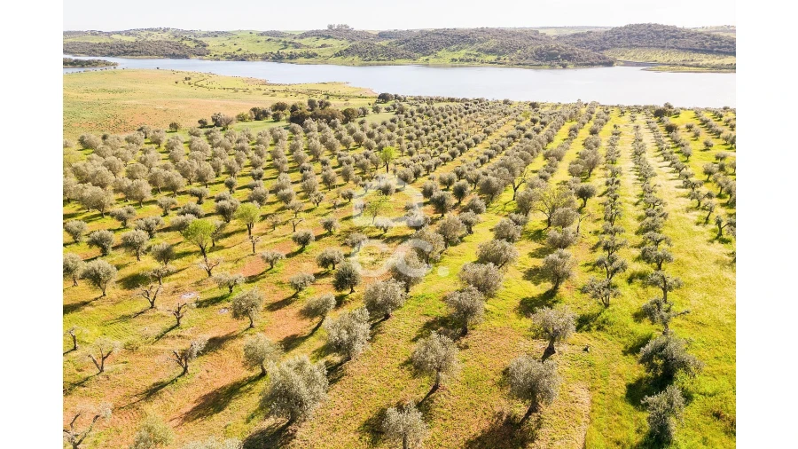 Terreno para Venda em Nossa Senhora da Conceição, São Brás dos Matos, Juromenha Foto 13