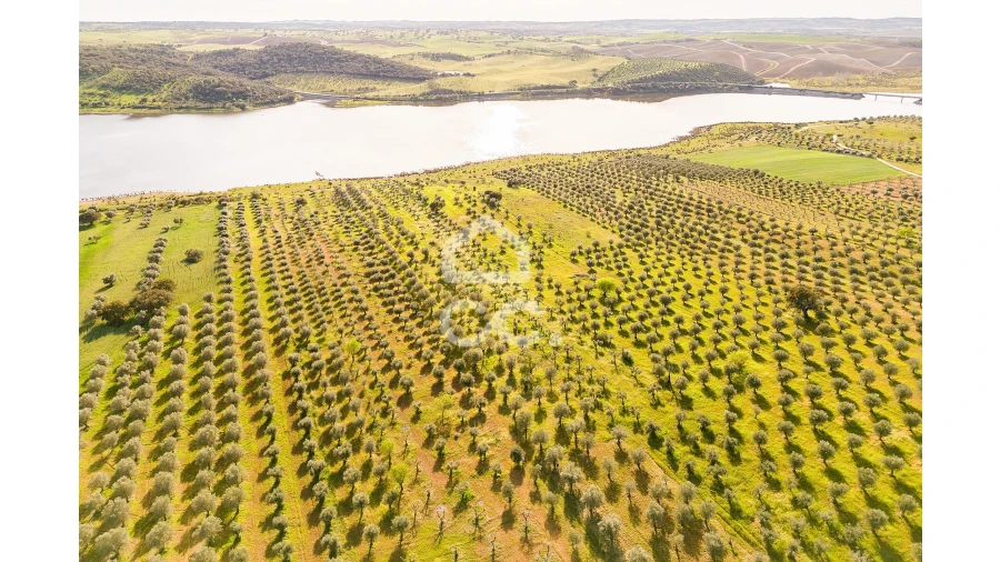 Terreno para Venda em Nossa Senhora da Conceição, São Brás dos Matos, Juromenha Foto 3