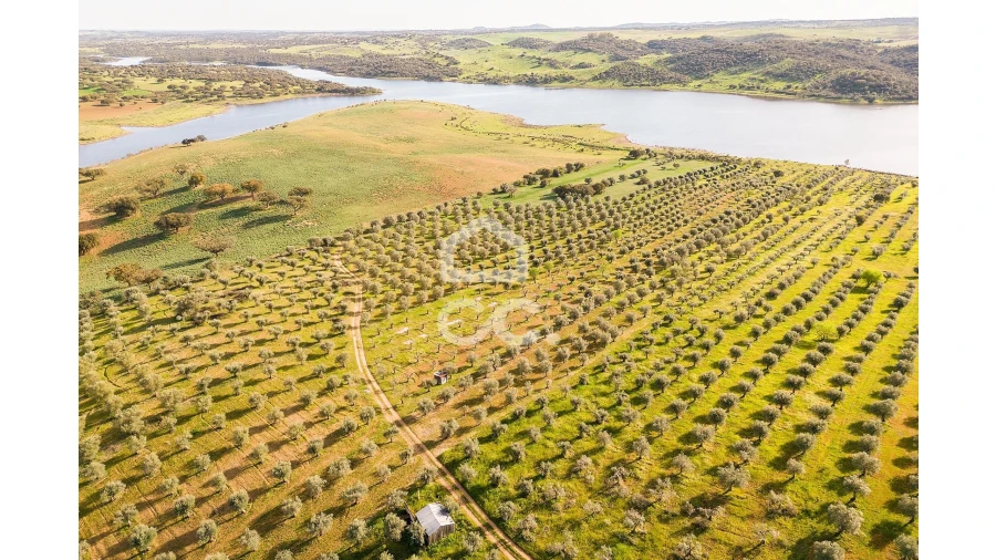 Terreno para Venda em Nossa Senhora da Conceição, São Brás dos Matos, Juromenha Foto 8
