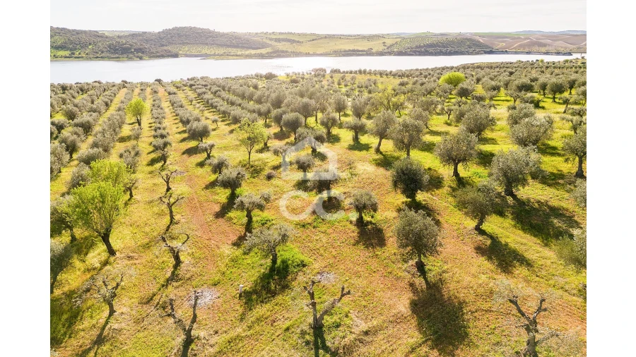 Terreno para Venda em Nossa Senhora da Conceição, São Brás dos Matos, Juromenha Foto 12