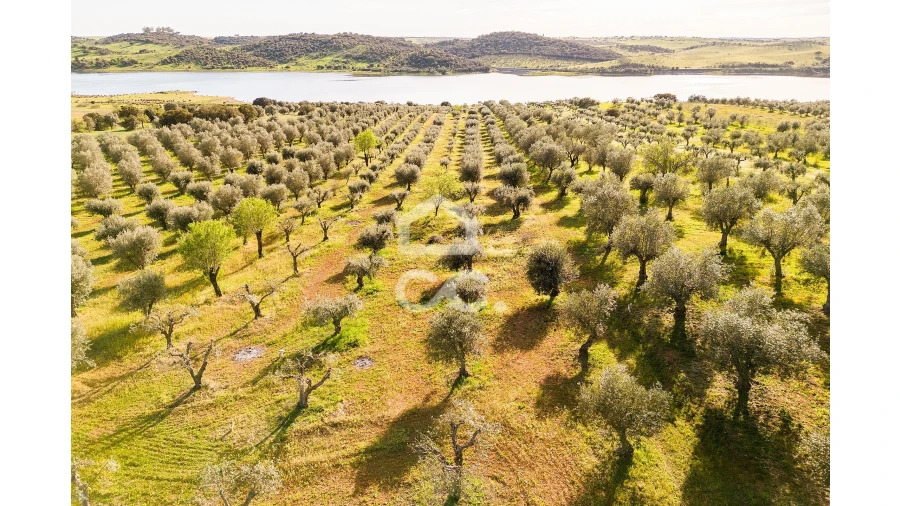 Terreno para Venda em Nossa Senhora da Conceição, São Brás dos Matos, Juromenha Foto 1