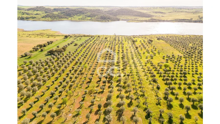 Terreno para Venda em Nossa Senhora da Conceição, São Brás dos Matos, Juromenha Foto 10
