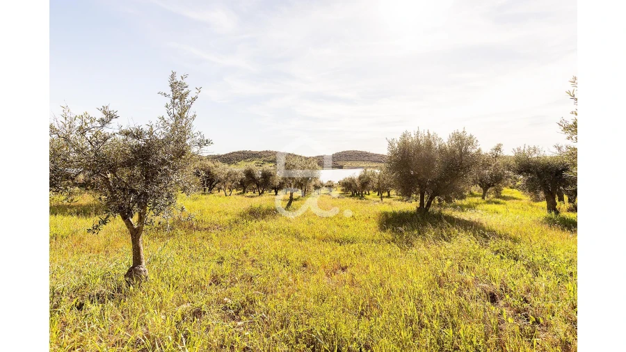 Terreno para Venda em Nossa Senhora da Conceição, São Brás dos Matos, Juromenha Foto 28