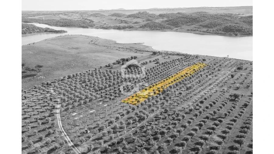 Terreno para Venda em Nossa Senhora da Conceição, São Brás dos Matos, Juromenha Foto 9